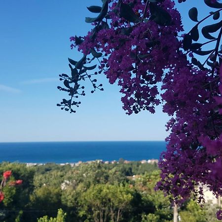 Vila Pogled Petrovac Kültér fotó