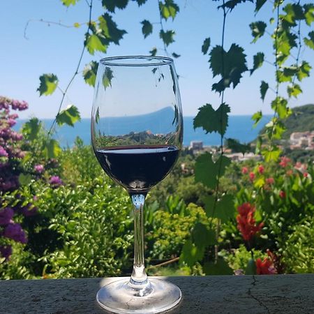 Vila Pogled Petrovac Kültér fotó