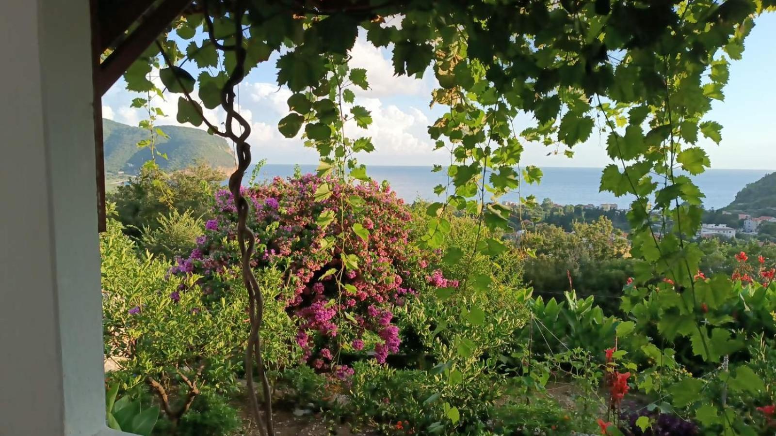 Vila Pogled Petrovac Kültér fotó