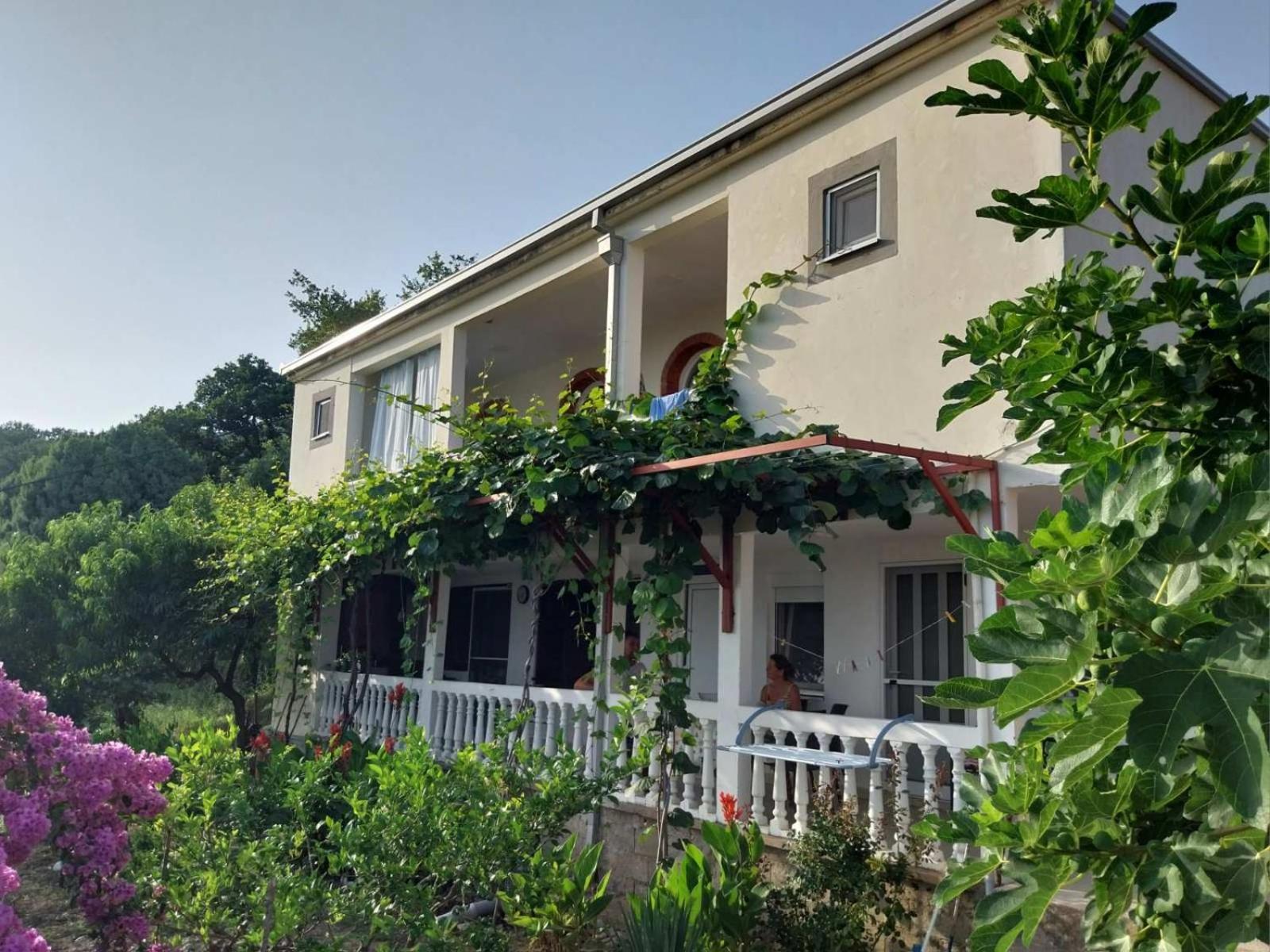 Vila Pogled Petrovac Kültér fotó