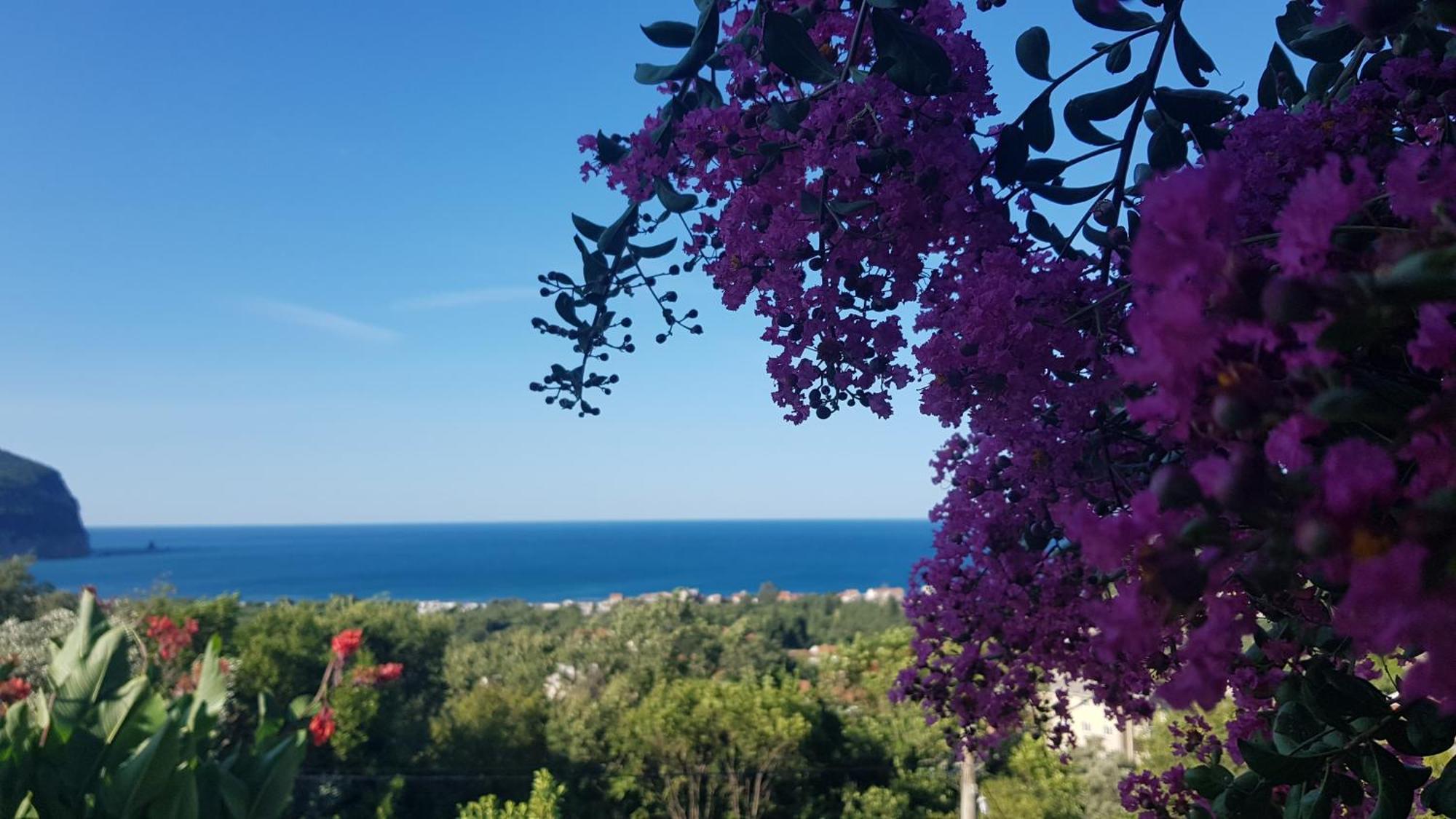 Vila Pogled Petrovac Kültér fotó