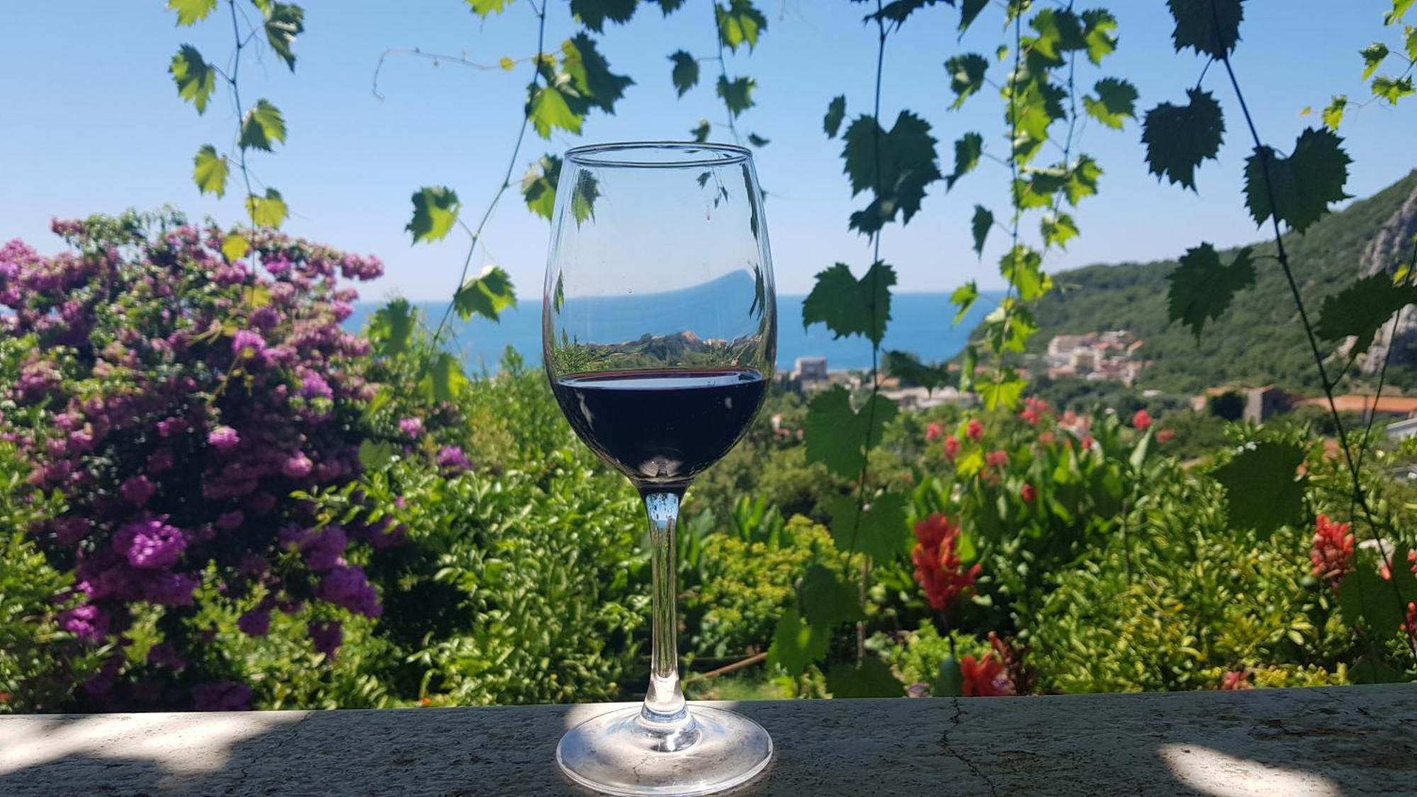 Vila Pogled Petrovac Kültér fotó