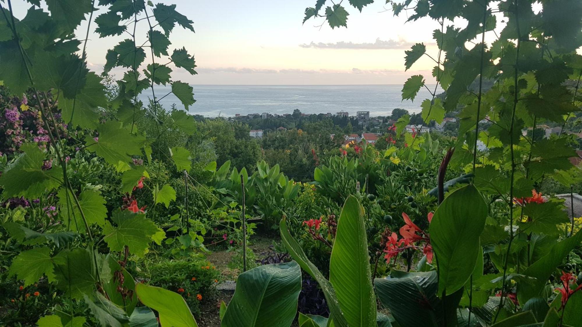 Vila Pogled Petrovac Kültér fotó